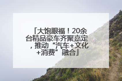 大饱眼福！20余台精品豪车齐聚嘉定，推动“汽车+文化+消费”融合