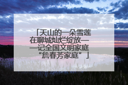 天山的一朵雪莲在聊城灿烂绽放——记全国文明家庭“詹春芳家庭”