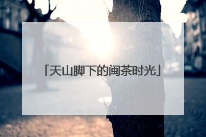 天山脚下的闽茶时光