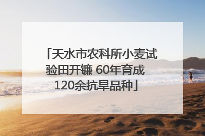 天水市农科所小麦试验田开镰 60年育成120余抗旱品种
