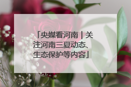 央媒看河南｜关注河南三夏动态、生态保护等内容