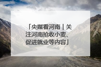 央媒看河南｜关注河南抢收小麦、促进就业等内容