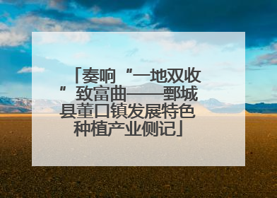 奏响“一地双收”致富曲——鄄城县董口镇发展特色种植产业侧记