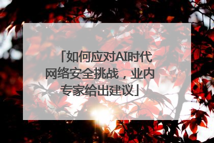 如何应对AI时代网络安全挑战，业内专家给出建议