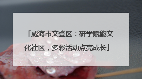 威海市文登区：研学赋能文化社区，多彩活动点亮成长