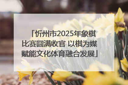 忻州市2025年象棋比赛圆满收官 以棋为媒赋能文化体育融合发展