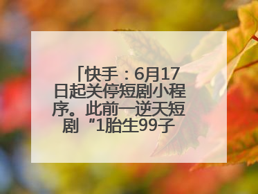 快手：6月17日起关停短剧小程序。此前一逆天短剧“1胎生99子”被全网下架