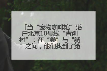 当“宠物咖啡馆”落户北京10号线“青创村”：在“卷”与“躺”之间，他们找到了第三种生活公式