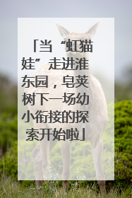 当“虹猫娃”走进淮东园，皂荚树下一场幼小衔接的探索开始啦