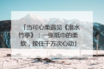当可心柔遇见《淮水竹亭》：一张纸巾的柔软，接住千万次心动