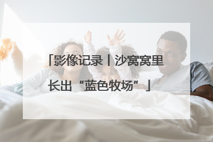 影像记录丨沙窝窝里长出“蓝色牧场”