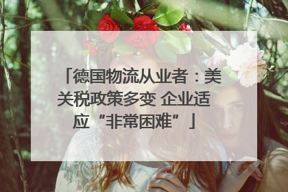 德国物流从业者：美关税政策多变 企业适应“非常困难”