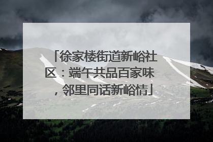 徐家楼街道新峪社区：端午共品百家味，邻里同话新峪情