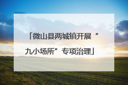 微山县两城镇开展“九小场所”专项治理