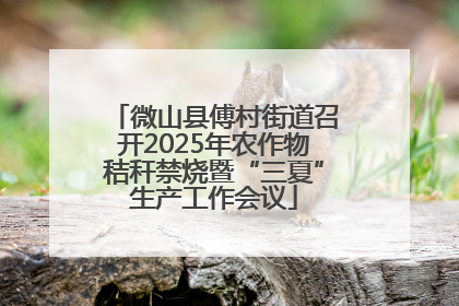 微山县傅村街道召开2025年农作物秸秆禁烧暨“三夏”生产工作会议