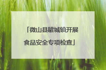 微山县驩城镇开展食品安全专项检查