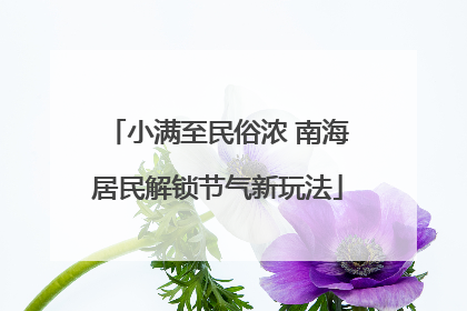 小满至民俗浓 南海居民解锁节气新玩法