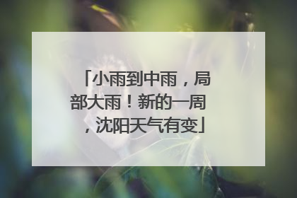 小雨到中雨，局部大雨！新的一周，沈阳天气有变