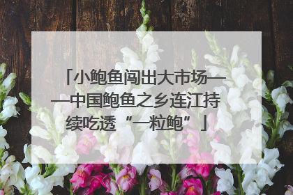 小鲍鱼闯出大市场——中国鲍鱼之乡连江持续吃透“一粒鲍”