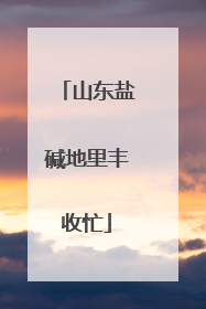 山东盐碱地里丰收忙