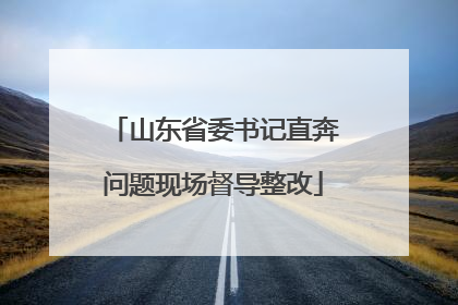 山东省委书记直奔问题现场督导整改