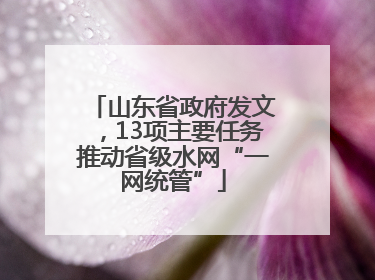 山东省政府发文，13项主要任务推动省级水网“一网统管”