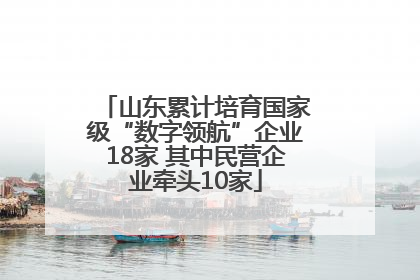 山东累计培育国家级“数字领航”企业18家 其中民营企业牵头10家