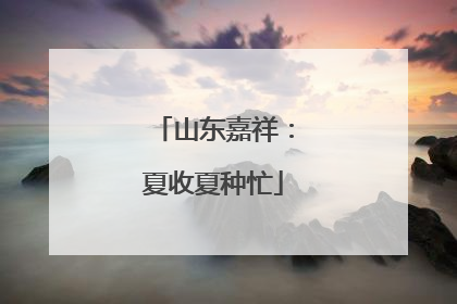 山东嘉祥：夏收夏种忙