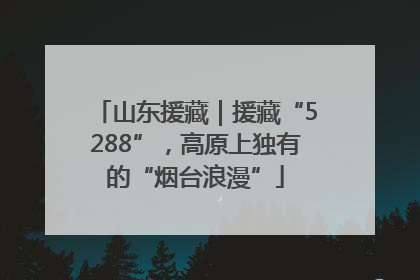 山东援藏｜援藏“5288”，高原上独有的“烟台浪漫”