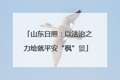 山东日照：以法治之力绘就平安“枫”景