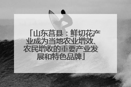 山东莒县：鲜切花产业成为当地农业增效、农民增收的重要产业发展和特色品牌
