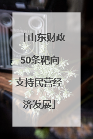 山东财政50条靶向支持民营经济发展