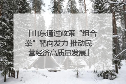 山东通过政策“组合拳”靶向发力 推动民营经济高质量发展