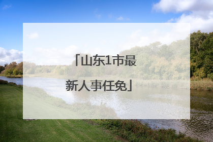 山东1市最新人事任免