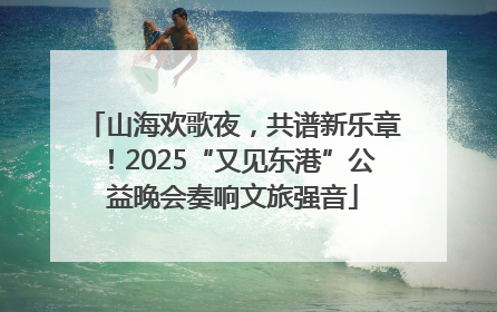 山海欢歌夜，共谱新乐章！2025“又见东港”公益晚会奏响文旅强音