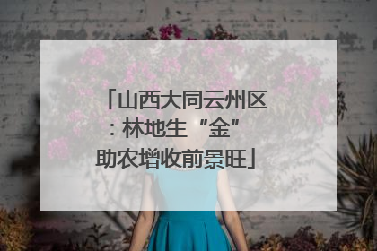 山西大同云州区：林地生“金” 助农增收前景旺