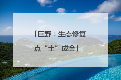 巨野：生态修复点“土”成金