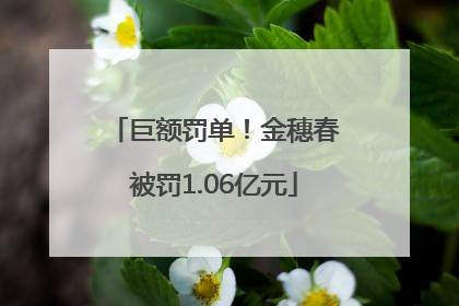 巨额罚单！金穗春被罚1.06亿元