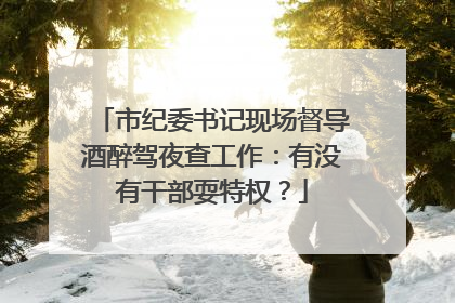 市纪委书记现场督导酒醉驾夜查工作：有没有干部耍特权？