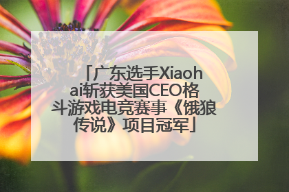 广东选手Xiaohai斩获美国CEO格斗游戏电竞赛事《饿狼传说》项目冠军