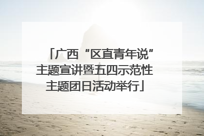广西“区直青年说”主题宣讲暨五四示范性主题团日活动举行