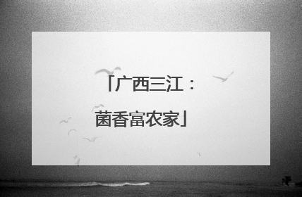 广西三江：菌香富农家