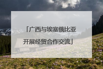 广西与埃塞俄比亚开展经贸合作交流