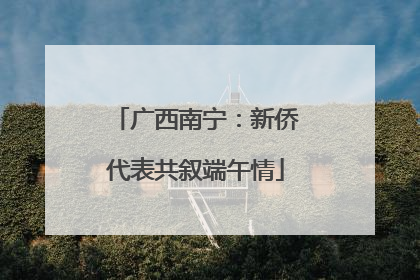 广西南宁：新侨代表共叙端午情