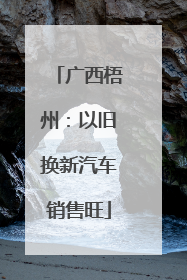 广西梧州：以旧换新汽车销售旺