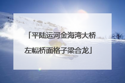 平陆运河金海湾大桥左幅桥面格子梁合龙
