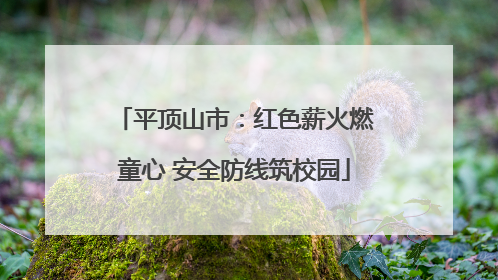 平顶山市：红色薪火燃童心 安全防线筑校园