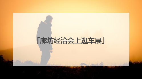 廊坊经洽会上逛车展