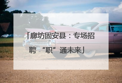 廊坊固安县：专场招聘 “职”通未来