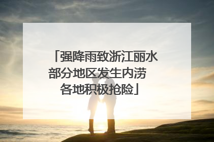 强降雨致浙江丽水部分地区发生内涝 各地积极抢险